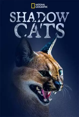 Shadow Cats (2022) แมวแห่งเงา